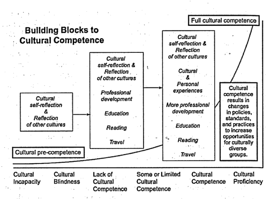 Reflecting on Our Path to Cultural Competence