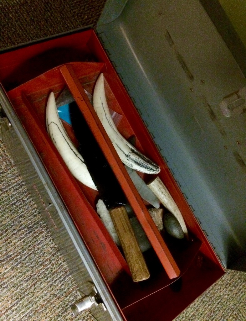 Toolbox used by education staff in the “People of the Woodlands” exhibit.